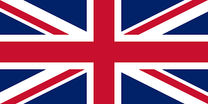 Dizionario Inglese Dizionario Inglese